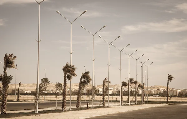 Estrada de asfalto vazia com céu nublado e luz solar — Fotografia de Stock