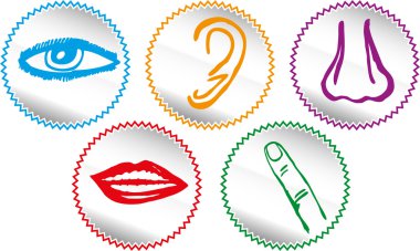 beş duyu Icon set - vektör çizim