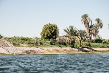 Mısır 'da Luxor yakınlarındaki Nil' de su manzarası