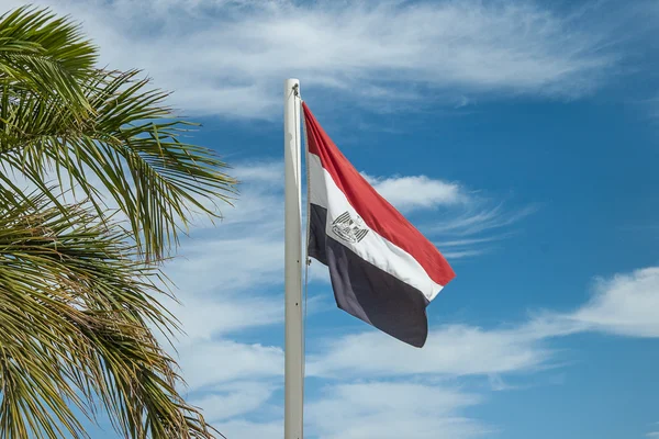 Egyptian flag on flagpole near palms