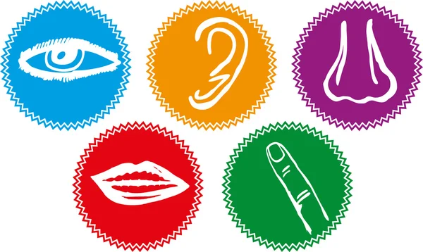 Five senses icon set - Vector Illustration — Stock Vector