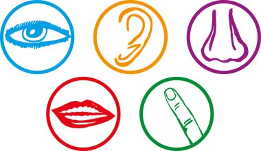 beş duyu Icon set - vektör çizim