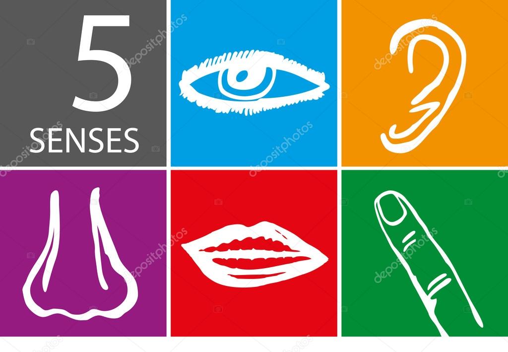 Five senses icon set - Vector Illustration