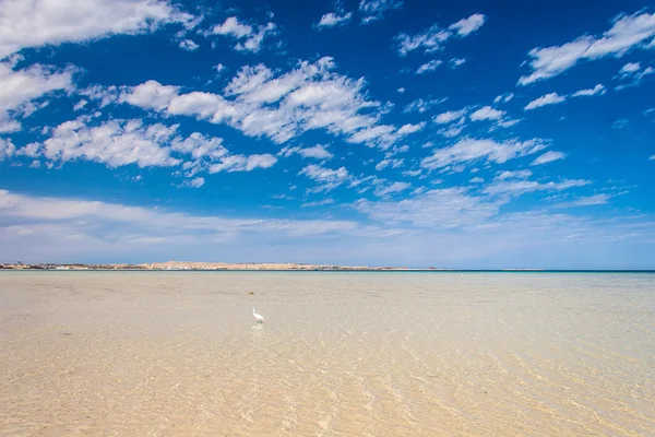 Linha costeira do Mar Vermelho perto de Hurhada — Fotografia de Stock