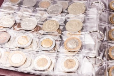 Dünya paraları ile para albüm