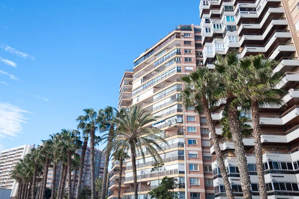 Calle vista de Málaga — Foto de Stock