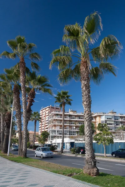 Calle vista de Málaga — Foto de Stock