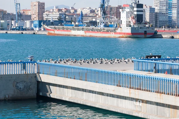 Linea costiera a Malaga — Foto Stock