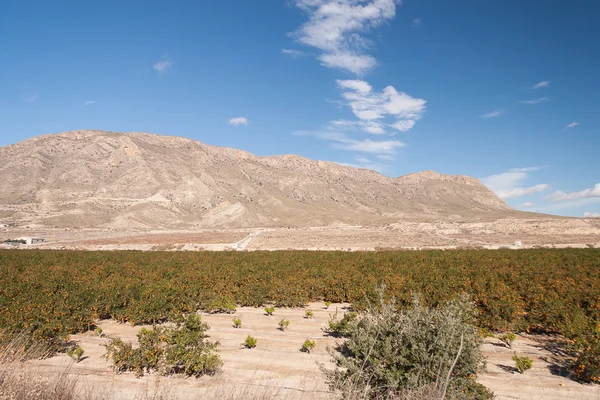 Spaanse landschap — Stockfoto