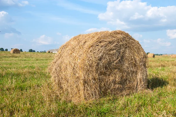 Haystacks in the field — Stock Photo, Image