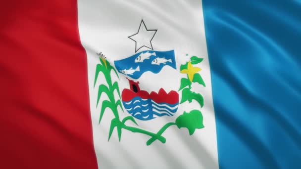 Alagoas - Viftande flagga video bakgrund - Brasilien — Stockvideo