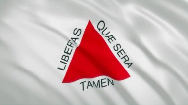 Minas Gerais - Sallanan Bayrak Video Arkaplanı - Brezilya Eyaleti