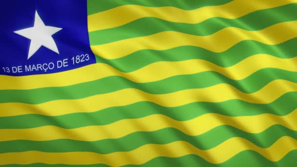 Piaui - Waving Flag Video Háttér - Brazília Állam — Stock videók