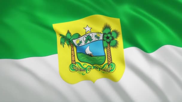Rio Grande do Norte - Viftande flagga video bakgrund - Brasilien — Stockvideo