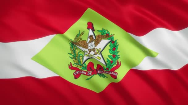 Santa Catarina - Viftande flagga video bakgrund - Brasilien — Stockvideo