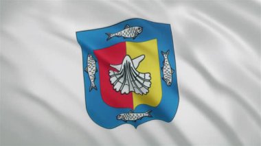 Baja California Sur - Meksika Devlet Dalgalanan Bayrağı