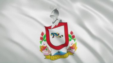 Colima - Meksika Devleti Dalgalanan Bayrağı