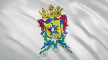 Guanajuato - Meksika Devlet Dalgalanan Bayrağı