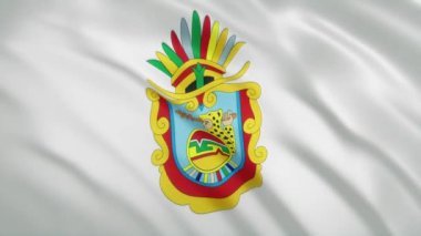 Guerrero - Meksika Devleti Dalgalanan Bayrağı
