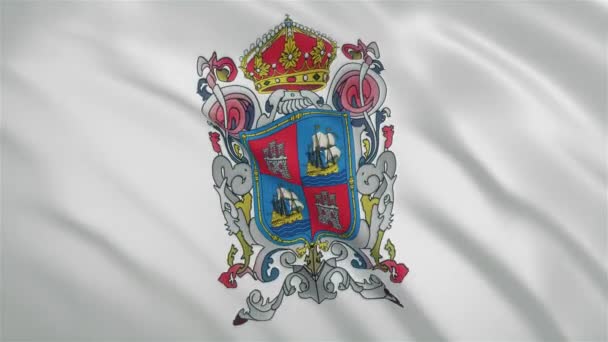 Campeche - Mexican State Waving Flag — Wideo stockowe