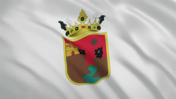Chiapas - Mexikanska staten Viftande flagga — Stockvideo