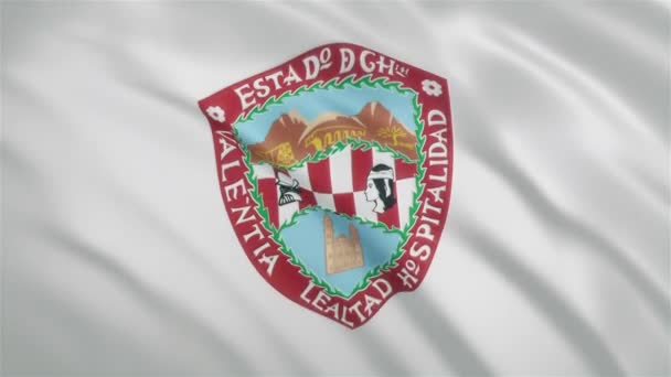 Chihuahua - Bandiera dello Stato Messicano — Video Stock
