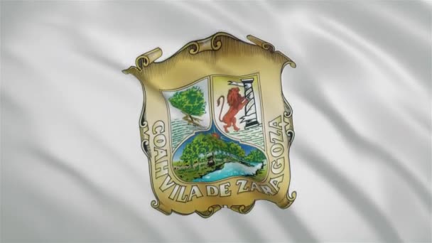 Coahuila - Bandera del Estado mexicano ondeando — Vídeo de stock