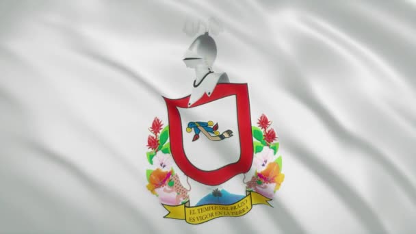 Колима - Мексиканский государственный флаг размахивания — стоковое видео