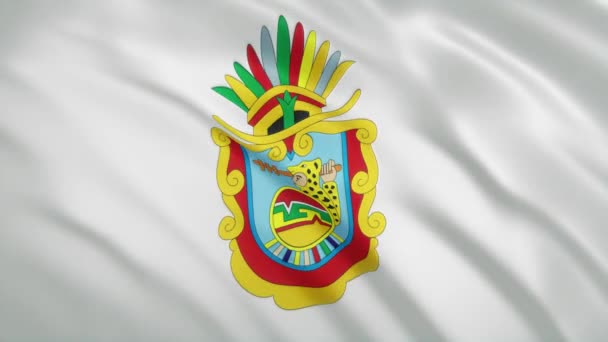 Guerrero - Bandera del Estado mexicano ondeando — Vídeo de stock