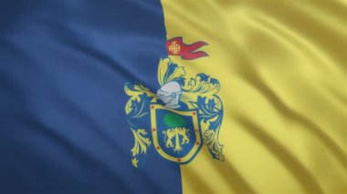 Jalisco - Meksika Devleti Dalgalanan Bayrağı