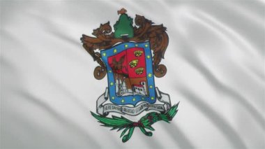 Michoacan - Meksika Devleti Dalgalanan Bayrağı