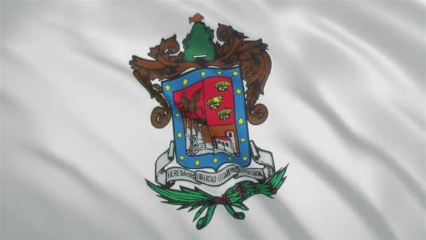 Michoacan - Mexican State Waving Flag — Stock Video