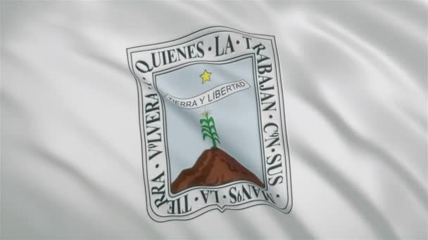 Morelos - Bandera del Estado Mexicano — Vídeos de Stock