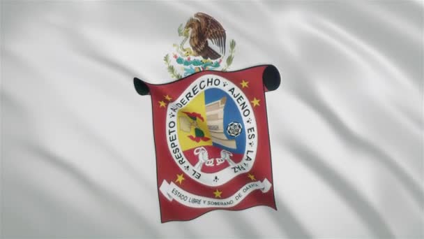 Oaxaca - Mexican State Waving Flag — стоковое видео
