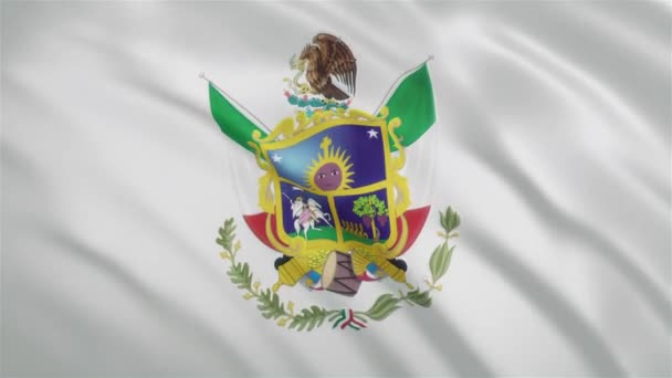 Queretaro - Mexican State Waving Flag — Stock Video