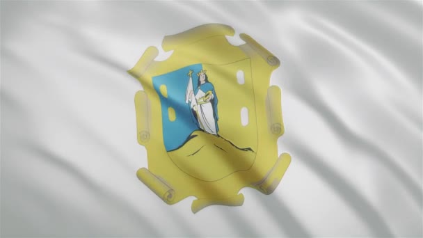 San Luis Potosí - Bandera del Estado mexicano ondeando — Vídeo de stock