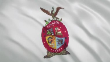 Sinaloa - Meksika Devleti Dalgalanan Bayrağı