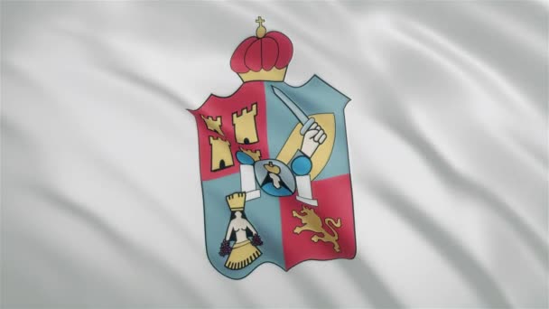 Tabasco - Bandiera dello Stato Messicano — Video Stock