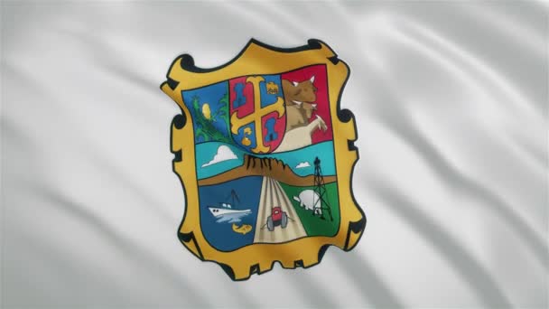 Tamaulipas - Bandera del Estado mexicano ondeando — Vídeos de Stock