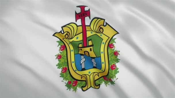 Veracruz - Bandera del Estado mexicano ondeando — Vídeos de Stock