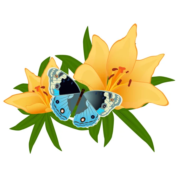 Бабочка на цветке-2 — стоковый вектор