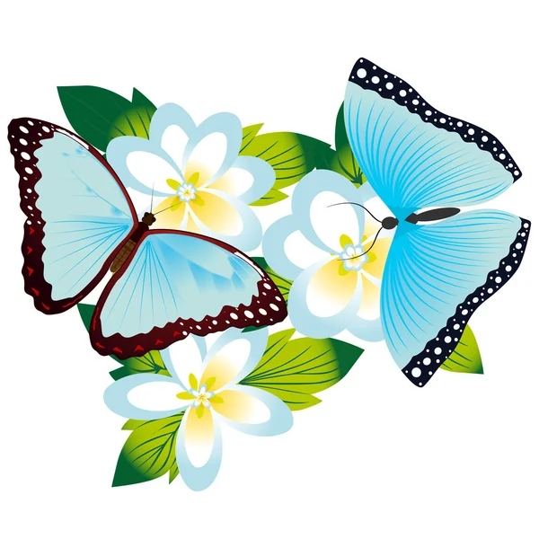 Butterfly on a flower-5 — Stock Vector