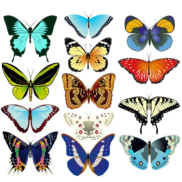 Mariposas — Archivo Imágenes Vectoriales