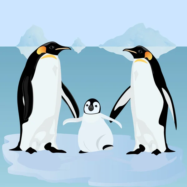 Buz kütlesindeki penguenler