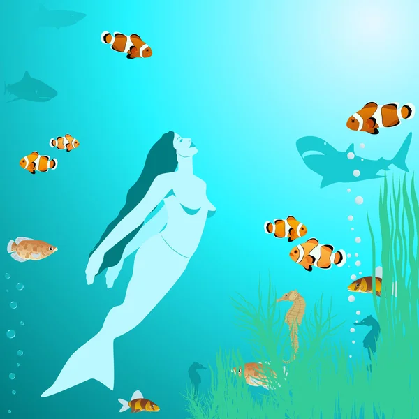 Mermaid — Stock Vector