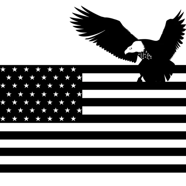 Amerikan bayrağı ve kartal — Stok Vektör