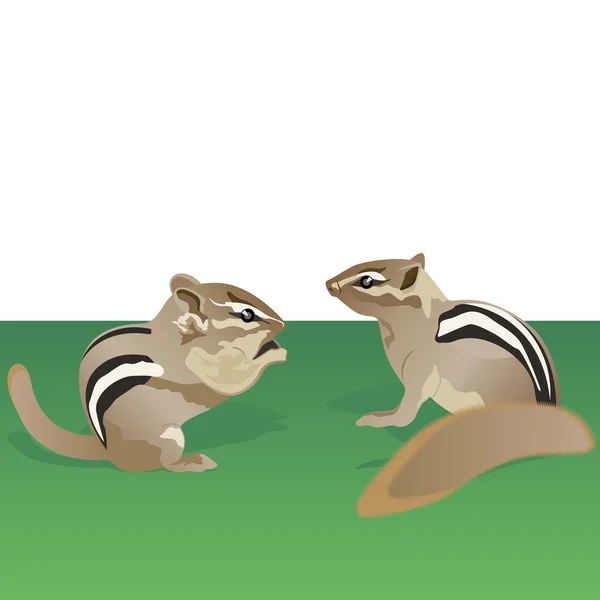 Chipmunks — Stockový vektor