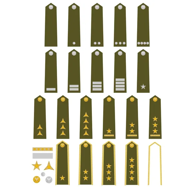 Insignes de l'armée tchèque — Image vectorielle