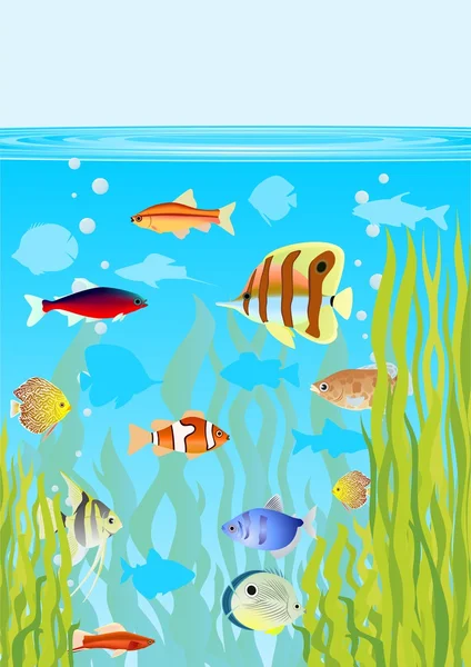 Aquarium — Stock Vector