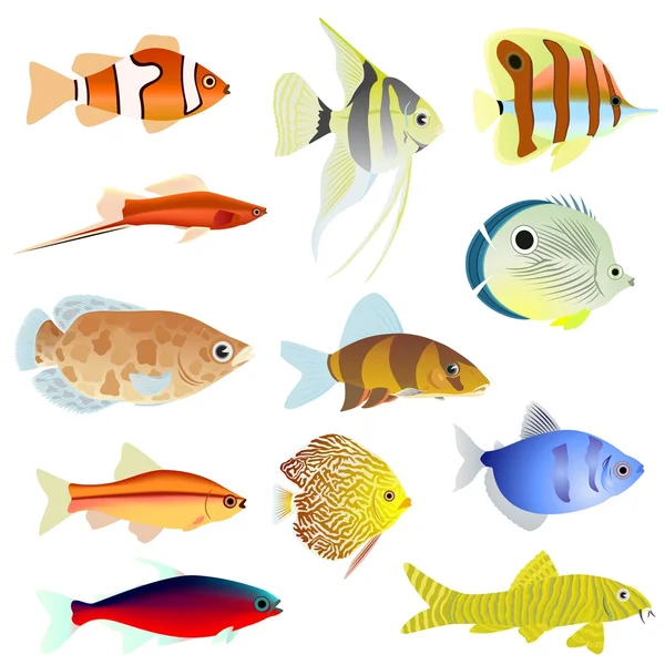 Peces de acuario — Vector de stock